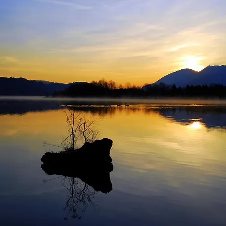 Herberg Gasthaus-gostisce-trattoria Ogris 3*
