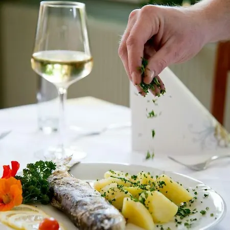 Gasthaus-gostisce-trattoria Ogris 3* Ludmannsdorf