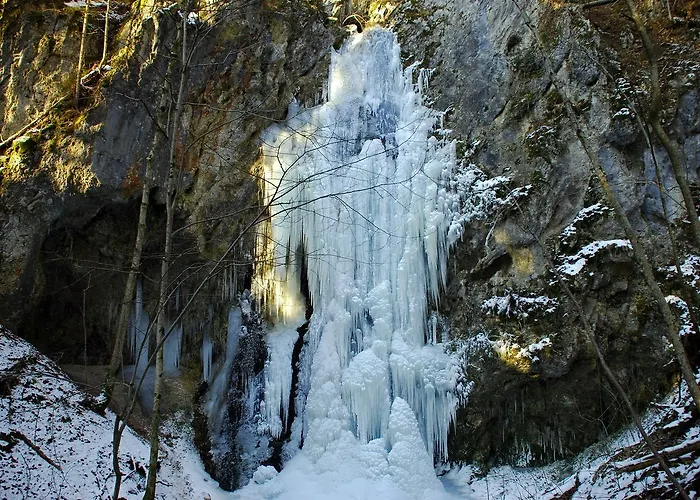Gasthaus-gostisce-trattoria Ogris Zajazd Ludmannsdorf