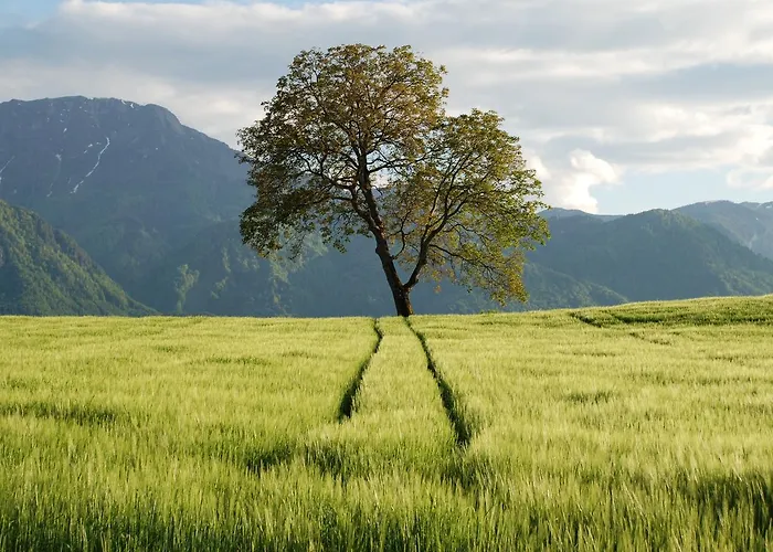 Gasthaus-gostisce-trattoria Ogris Ludmannsdorf